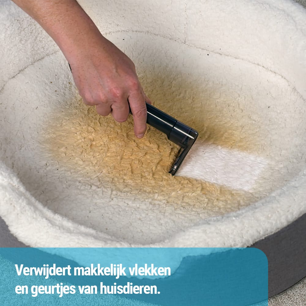 Détachant Invictus F5 - Nettoyant textile - Nettoyant pour canapés et meubles